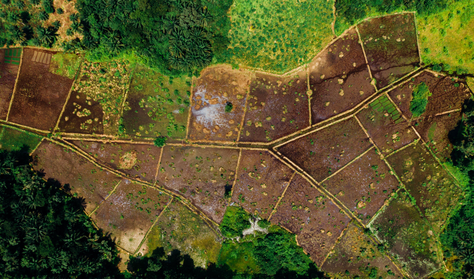 Residential Plots 
